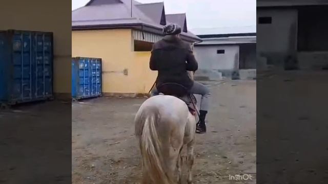 ОТ ОЛАДИГАНЛАР БУЛСА ТЕЛЕФОН НОМЕР ЕЗИБ КУЙСИН САЛОМАТ БУЛИНГЛАР КАДИРДОНЛАР ?? смотреть онлайн