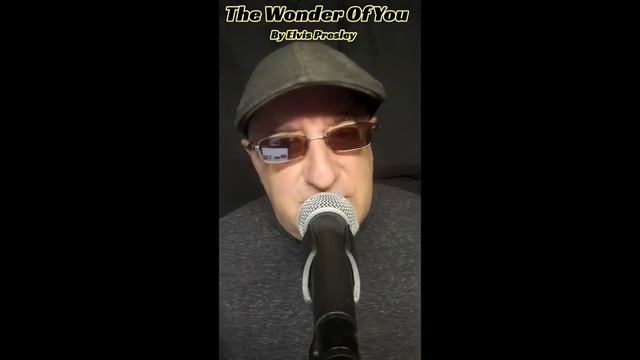 Shure SM48 vocal The Wonder Of You by Elvis Presley смотреть онлайн