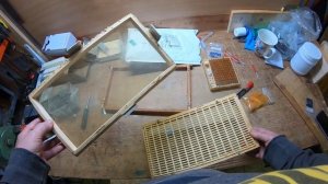 Вывод маток  Получение крупных личинок одного возраста