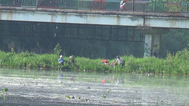 Рыбалка в Подмосковье на реке Пехорка ! смотреть онлайн
