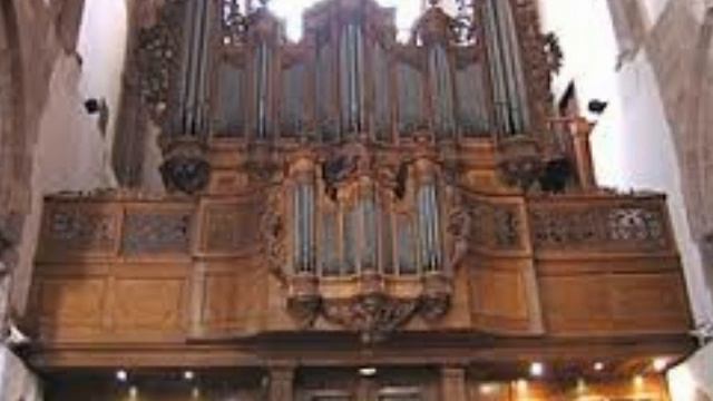 Organista Valeggio sul Mincio смотреть онлайн