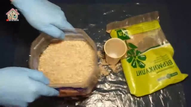 Клубника. Другая почвосмесь для рассады фриго своими руками. DIY & DACHA. Ep 60. смотреть онлайн