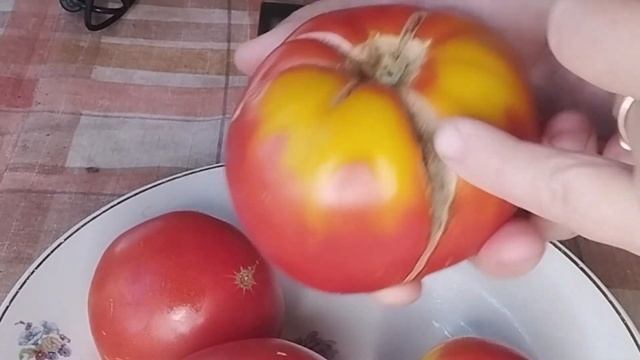 Томат Бабушкино. Ватсап тел. 89229284031. г. Киров смотреть онлайн