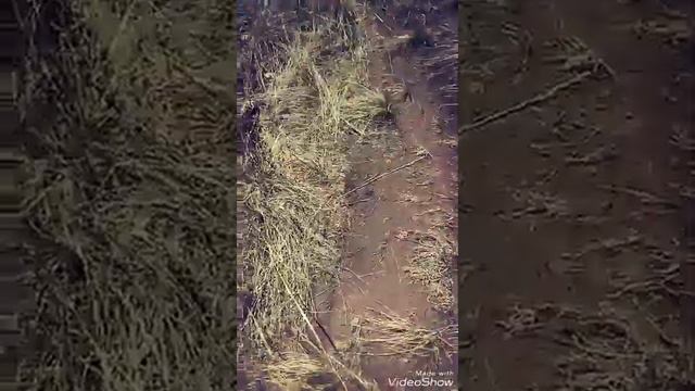 Без страха 2 смотреть онлайн