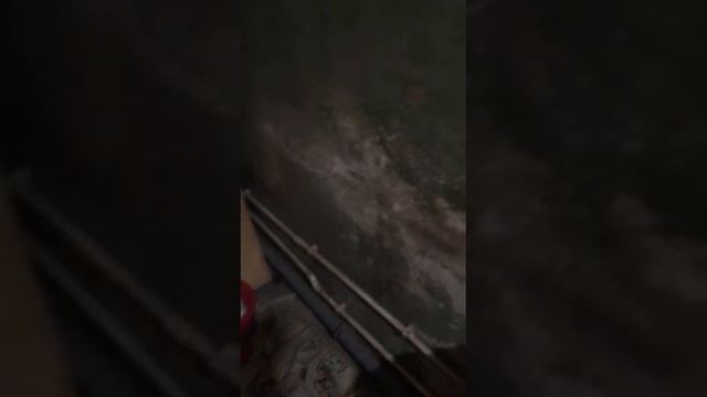18 ноября 2023 г. смотреть онлайн