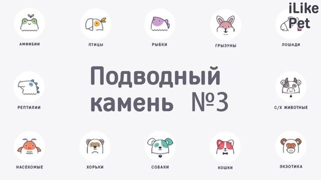 Сложности организации питомника для животных смотреть онлайн