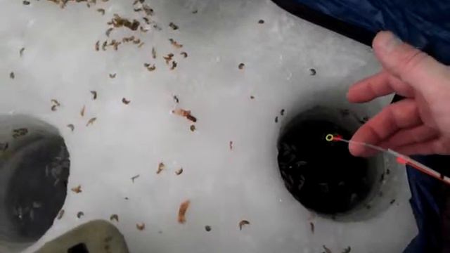 Поклёвочка смотреть онлайн
