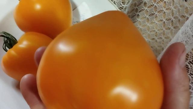 Томат Лискин нос смотреть онлайн