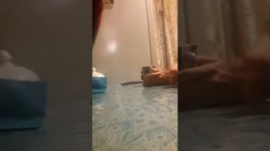 Скрытая камера