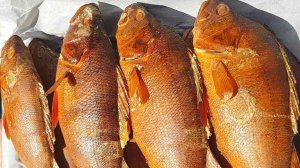 Польза окуня для человека. Как можно приготовить речного окуня?