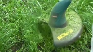 Первый покос травы. Косим газонную траву триммером