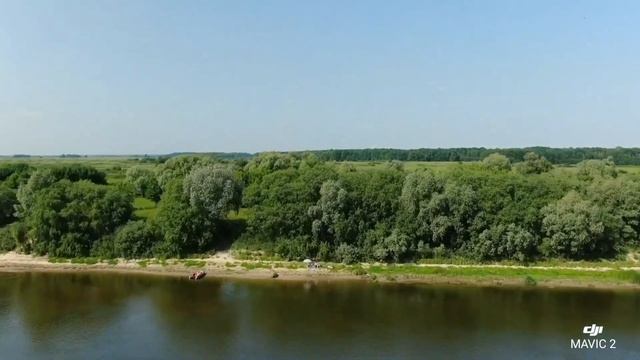 Кулинарная Интрига