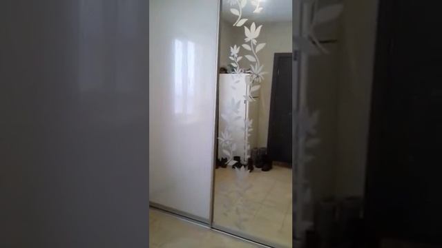 Шкаф купе материал дврей пластик и зеркало с пескоструйным рисунком смотреть онлайн