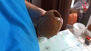 Домик для анциструса своими руками. Легкий способ