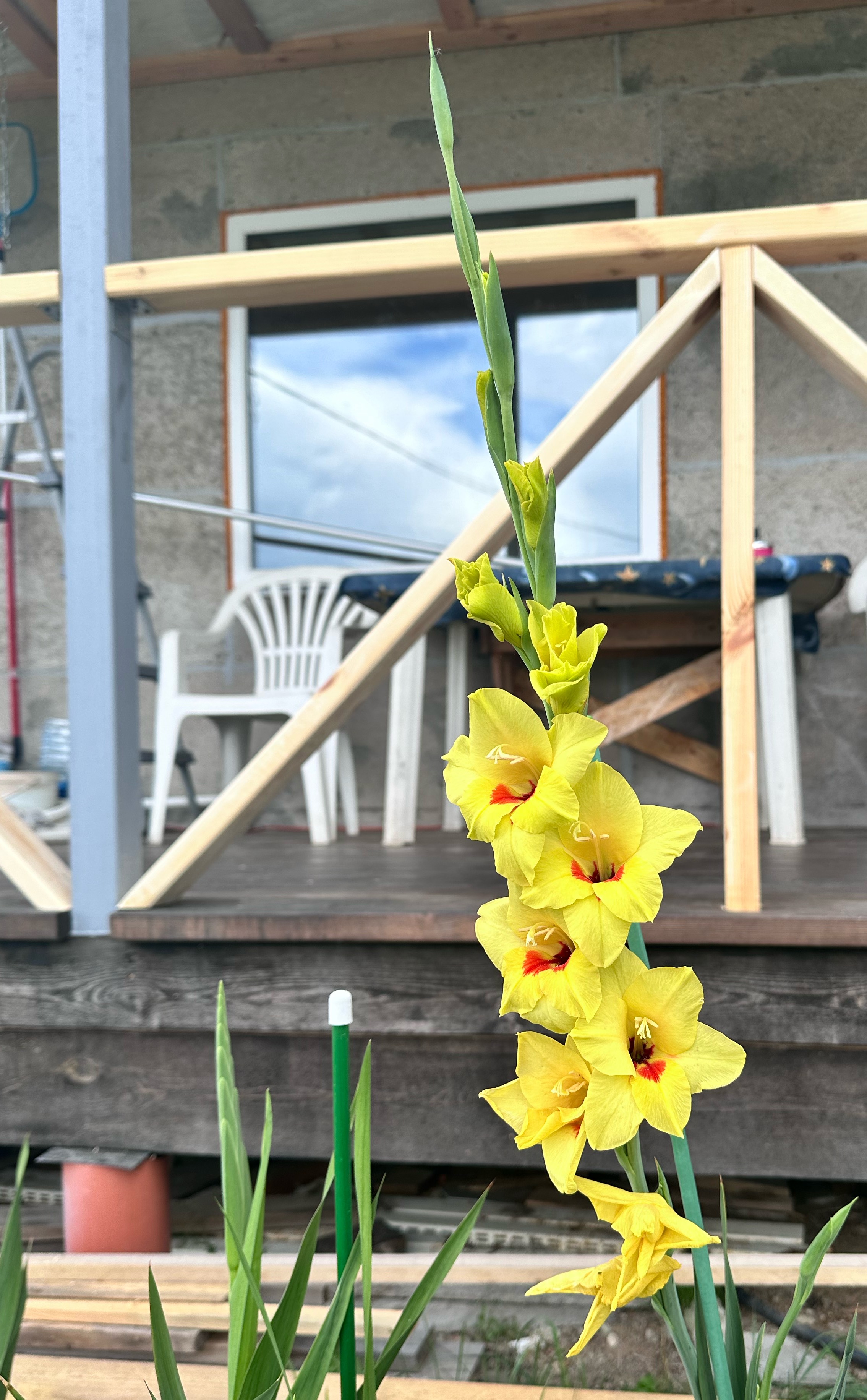 Мое лето🌺 смотреть онлайн