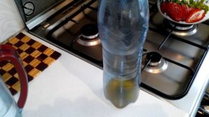 Фантастика!Как избавиться от мышей.