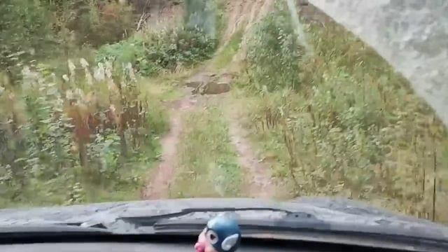 В лес за грибами/ Осталась без сапог#сибирь#влог#дача#грибы#огород# смотреть онлайн