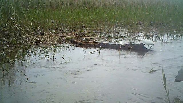 Ловкая охотница. смотреть онлайн