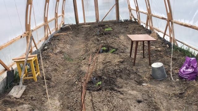 Посадка винограда в теплице смотреть онлайн
