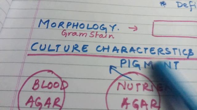 Gram negative bacilli ... easy lecture. смотреть онлайн