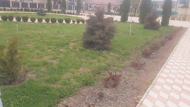 Красивая мечеть из ст.Наурская смотреть онлайн