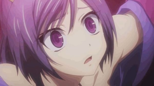 Sad Cat Dance ? Meme Compilation