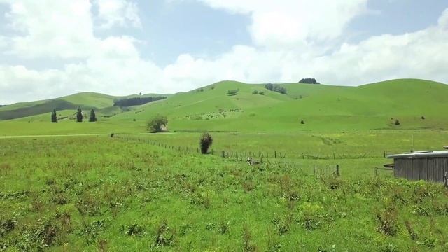 БОЛЬШОЙ ГОРОСКОП ДЛЯ КОЗЕРОГА на 2024 год - ПО МЕСЯЦАМ смотреть онлайн