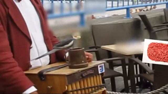 Jak zarabiać na mieleniu mięsa? смотреть онлайн