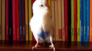 Морозко просто орел!