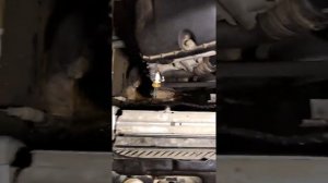 Система охлаждения в БМВ #бмв #бмве39 #е39  #системаохлаждения #рециркуляция #картерныегазы