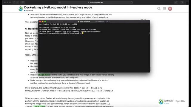Dockerizing a NetLogo model in Headless mode смотреть онлайн