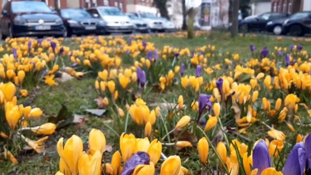 📖OUT OF ZION/ PSALM 50:2#MY DAILY DEVOTION смотреть онлайн