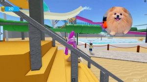 ВЕЧЕРИНКА В АКАВАПАРКЕ ! АКВАПАРК В  РОБЛОКС ! САМЫЕ ВЕСЕЛЫЕ ГОКРИ В АКВАПАРКЕ ROBLOX