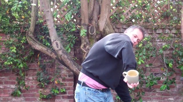 Balinese cup trick / candle trick / spinor demonstration смотреть онлайн