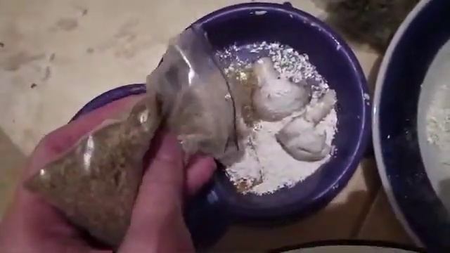 УЛИТКА УМЕРЛА ИЛИ ЛЕГЛА В СПЯЧКУ? смотреть онлайн