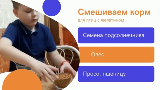 Как изготовить съедобную кормушку для птиц смотреть онлайн