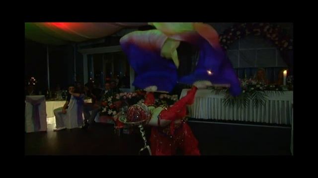 номер "Повелительница огненного Дракона" смотреть онлайн