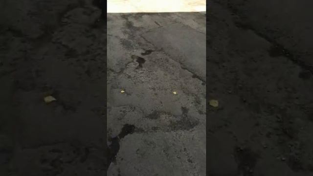 Качественный ремонт дороги в Усть-Илимске смотреть онлайн