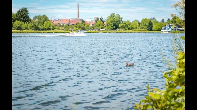 Жизнь - Урок Мудрости смотреть онлайн