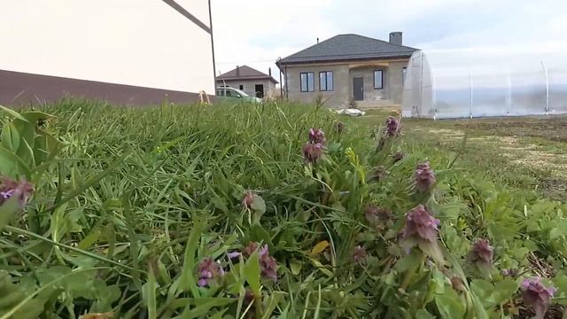 Рабочая суббота. Дорожки в теплице. ст. Гостагаевская смотреть онлайн