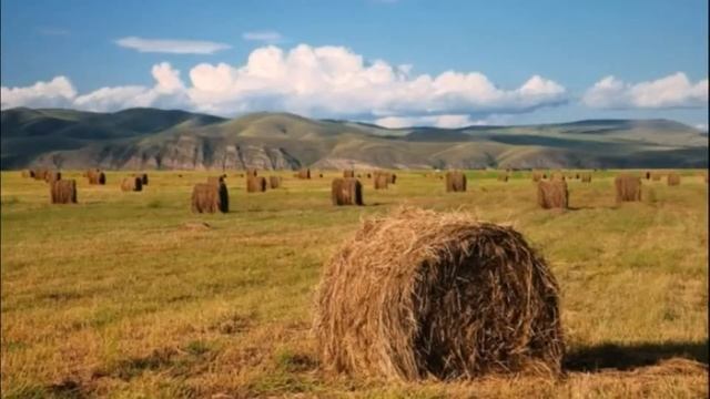 С ДНЁМ ПОЛИЦИИ! смотреть онлайн