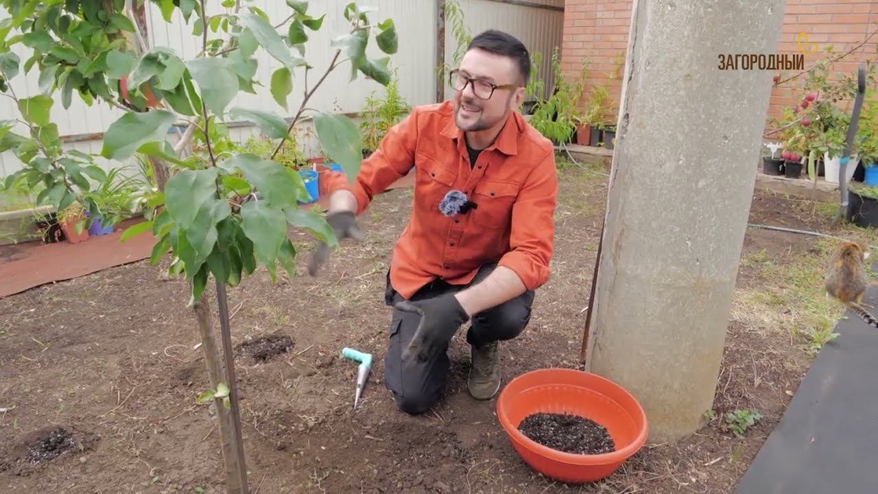 Дача с Виталием Декабревым. Октябрь смотреть онлайн