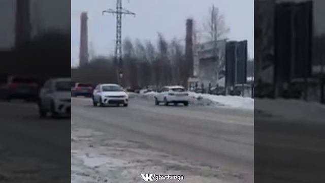 медведь в Кемерово