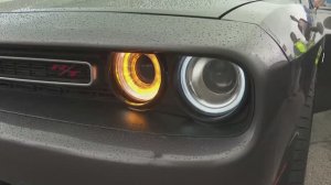 В Петербурге прошел фестиваль «Американское трак-шоу»