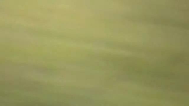 Путешествие по Куленге и Магдану Дикие лошади. Журавли смотреть онлайн
