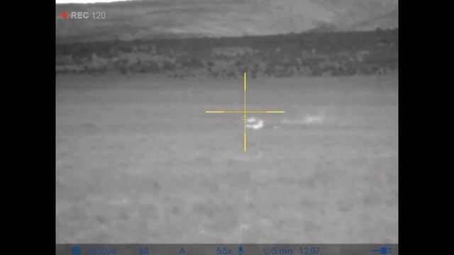Thermal Coyote Hunting Series