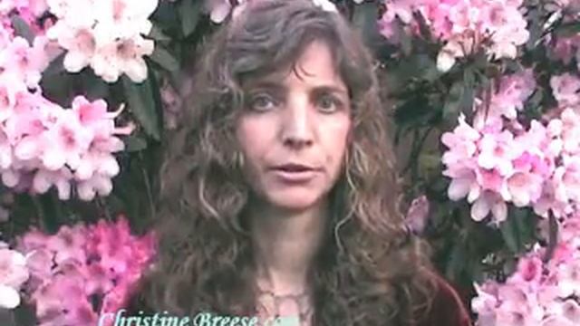 8 What The Bleep Do We Know Manifesting Breese What Bleep смотреть онлайн