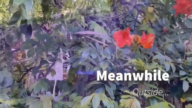 Welcome to the Shitshow (Preview) смотреть онлайн