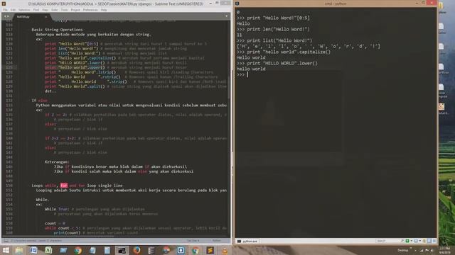 (07) Tutorial Python - Basic string operations смотреть онлайн