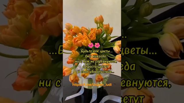 Будьте как цветы. Они никогда ни с кем не соревнуются...